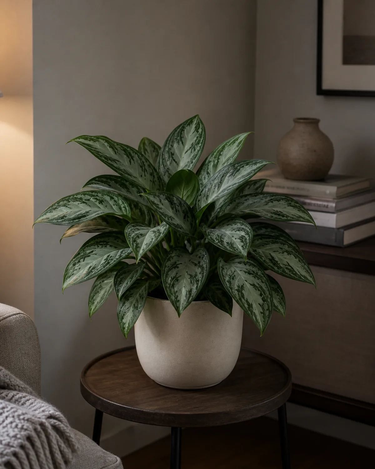 A mature Chinese evergreen aglaonema silver-bay variety in a plain cream ceramic pot on a small side table in a dim real living room corner with soft cool ambient daylight, compact clumping rosette of patterned silver-and-green oval leaves clearly holding pattern