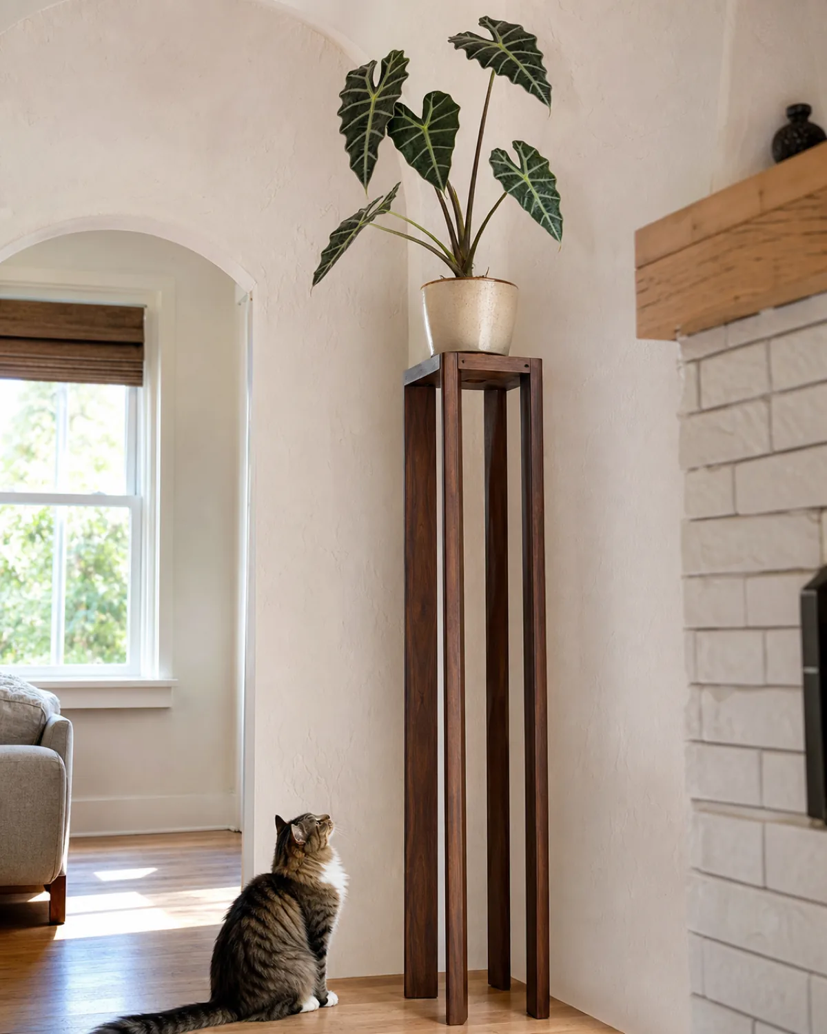 An Alocasia on a tall plant stand out of reach with a curious cat sitting on the floor below