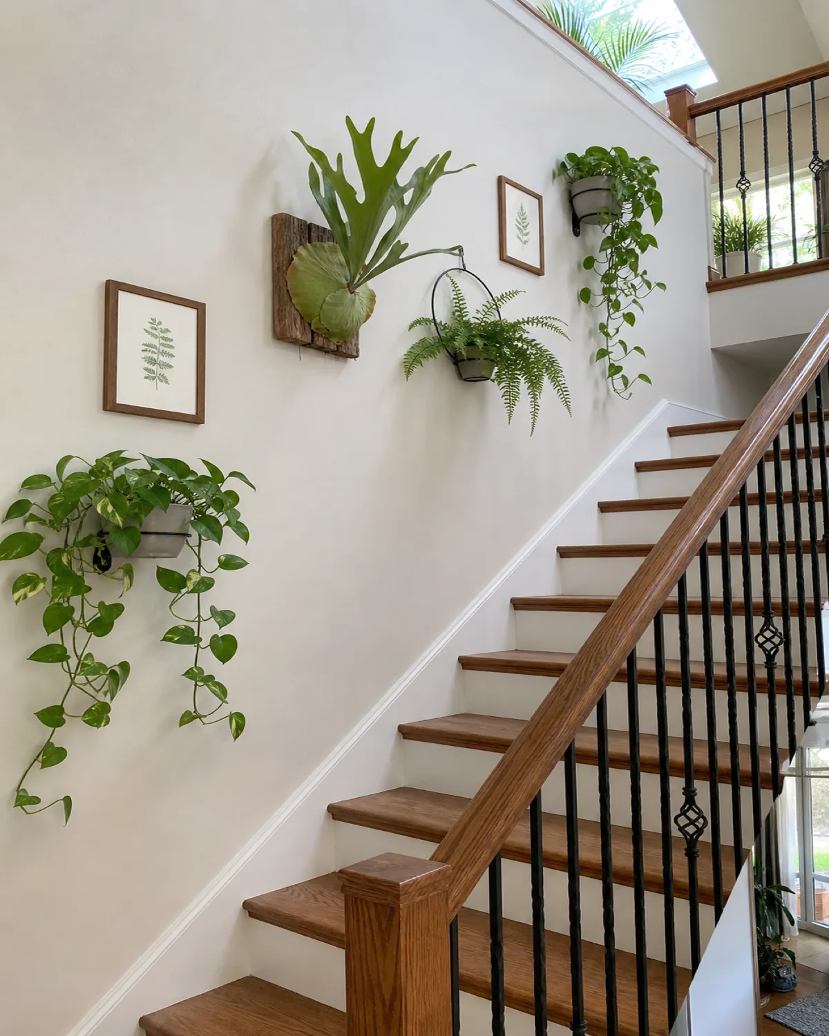 A white staircase wall with four wall-mounted plants at staggered heights following the diagonal angle of the stairs