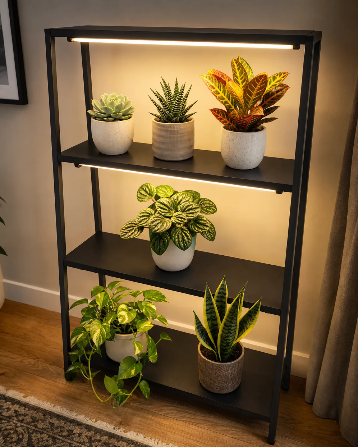 An overhead view of a three-tier plant shelf with six different houseplants arranged by light need from top shelf closest to LED bars with succulents and a croton to bottom shelf farthest with a pothos and snake plant