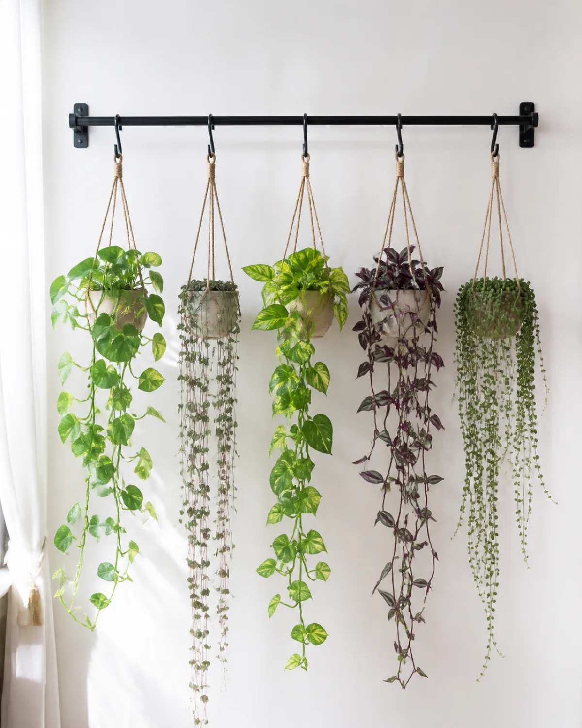 A matte black metal rod about three feet long mounted horizontally on a white wall with two L-shaped brackets five small hanging planters suspended from the rod at equal intervals by short macrame cords or S-hooks each pot containing a trailing plant pothos with long draping vines string of hearts with delicate chains tradescantia with purple trailing stems bright window light