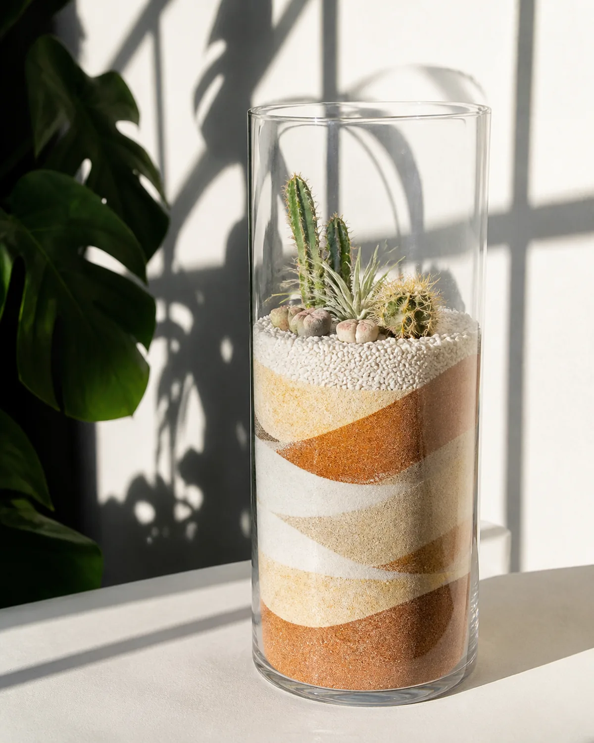 A tall clear glass cylinder terrarium with visible layers of different colored decorative sand in white cream and terracotta forming a wave pattern through the glass small cacti and lithops living stones planted on top with a single tillandsia air plant as accent positioned in bright direct sunlight creating dramatic shadows