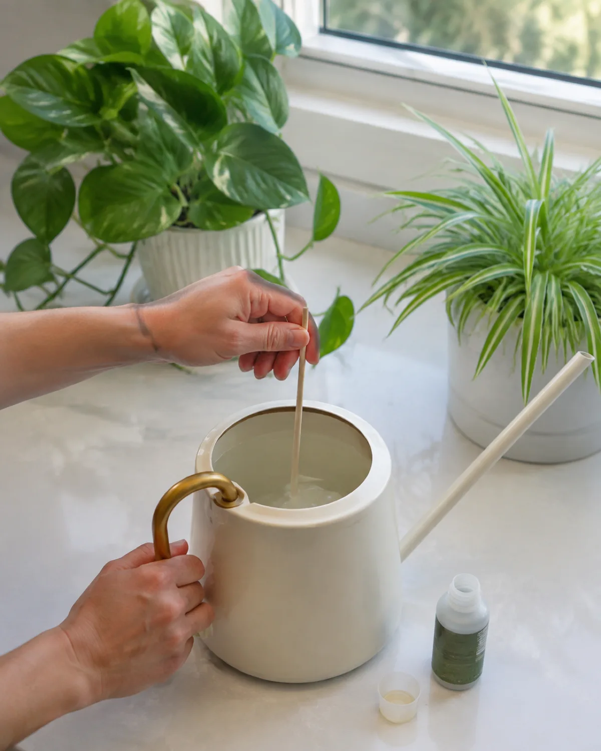 Hands mixing a very diluted liquid fertilizer in a watering can with the liquid barely tinted showing extreme dilution beside a small bottle of balanced plant fertilizer with measuring cap and a healthy pothos and spider plant waiting on a bright kitchen counter