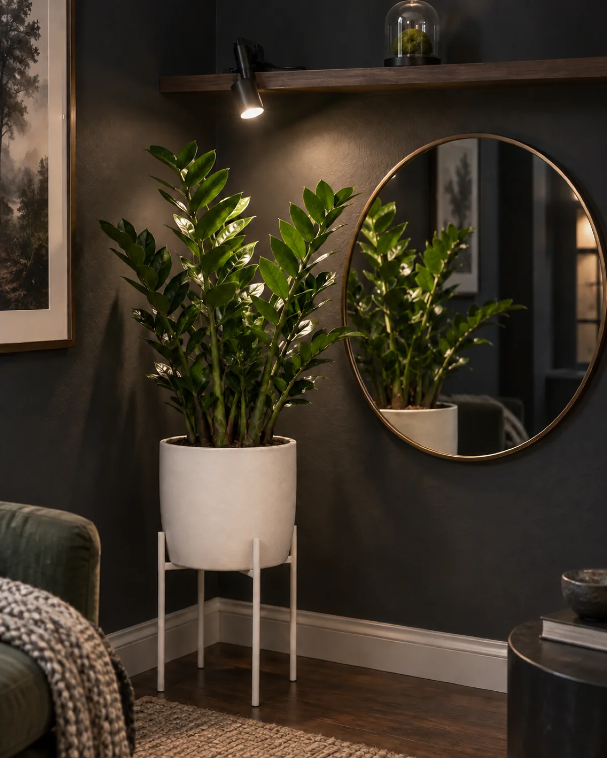 A dark room corner with a single large ZZ plant in a light cream ceramic pot on a white plant stand with a round mirror behind reflecting and doubling the plant and a clip-on LED grow light providing uplighting and preserved moss in a glass dome
