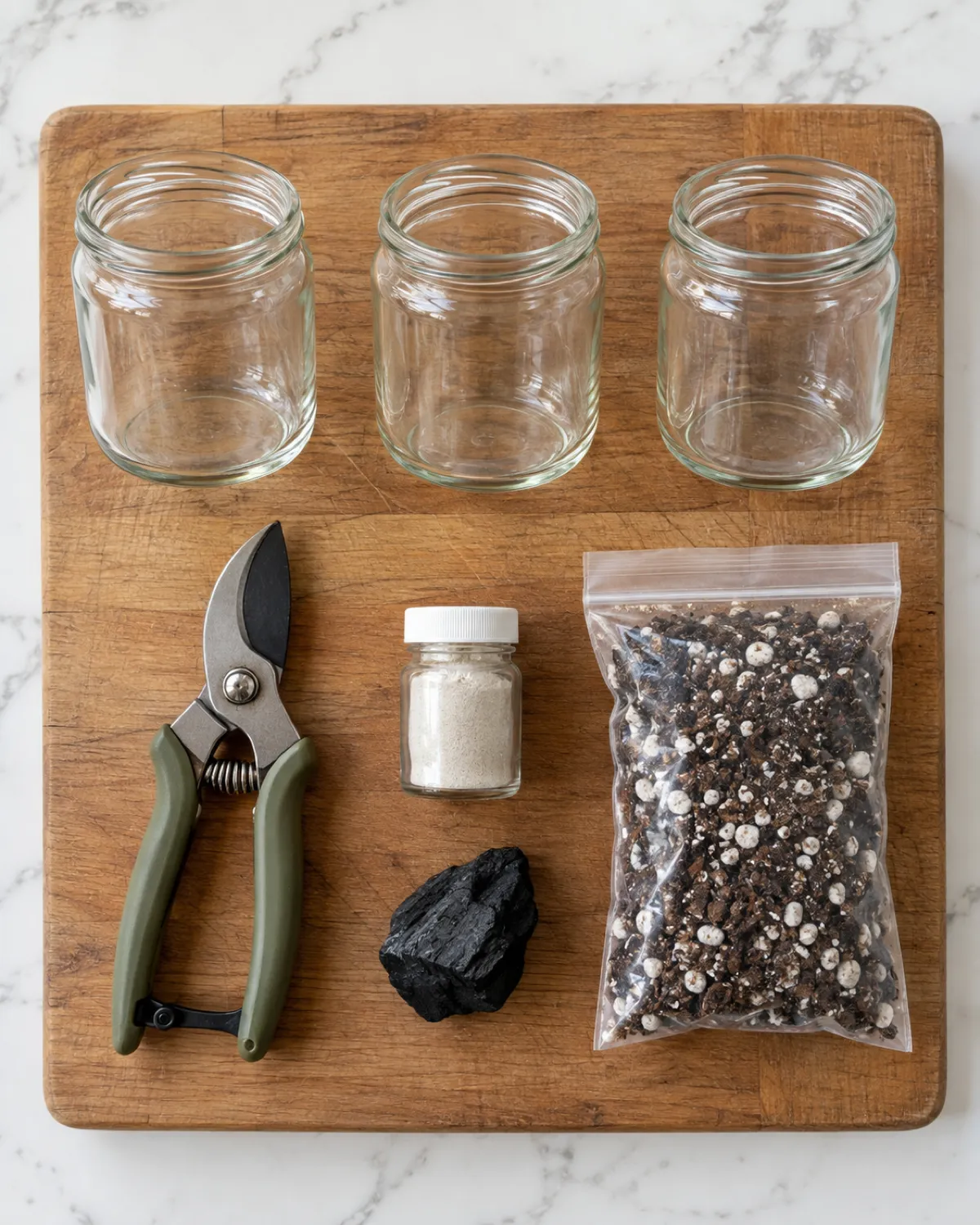A neatly arranged flat-lay on a wooden cutting board with sterilized pruning shears a small bottle of powdered rooting hormone a piece of activated charcoal three clear glass propagation jars and a small bag of perlite-heavy potting mix overhead shot bright natural light clean white counter