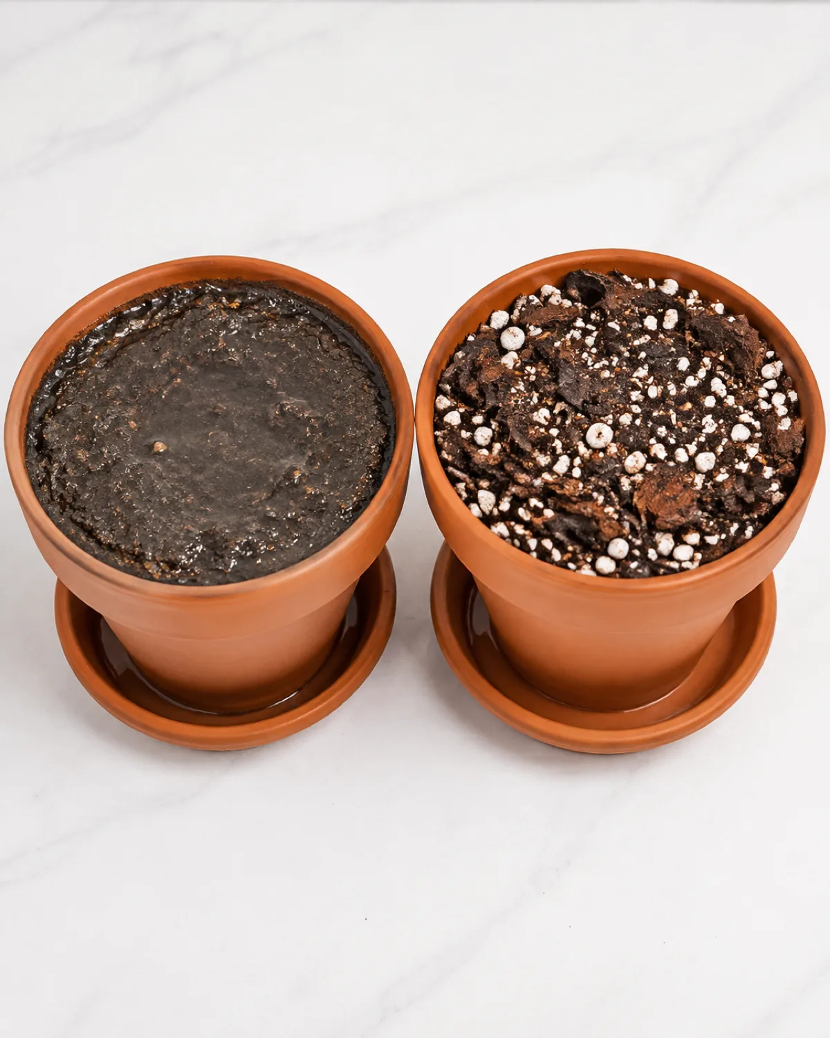 Two identical terracotta pots from above with the left showing old compacted waterlogged dark soil with water pooling on the surface and the right showing fresh chunky well-draining mix with visible perlite and bark with water already drained through